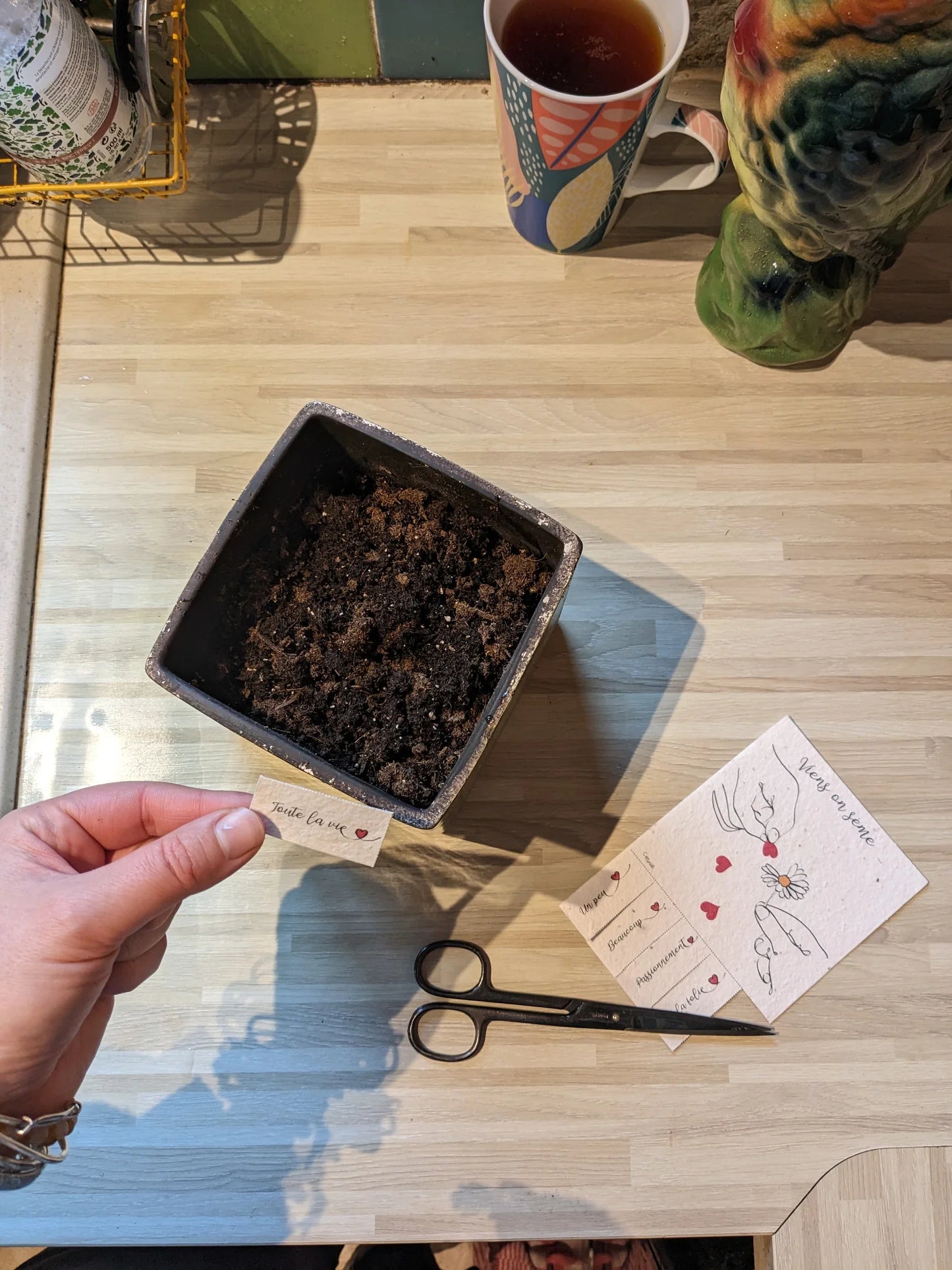 Coffret vive l'amour : une fleur de douche, une jolie carte à planter pour les amoureux.ses et un savon "Pompon breton"