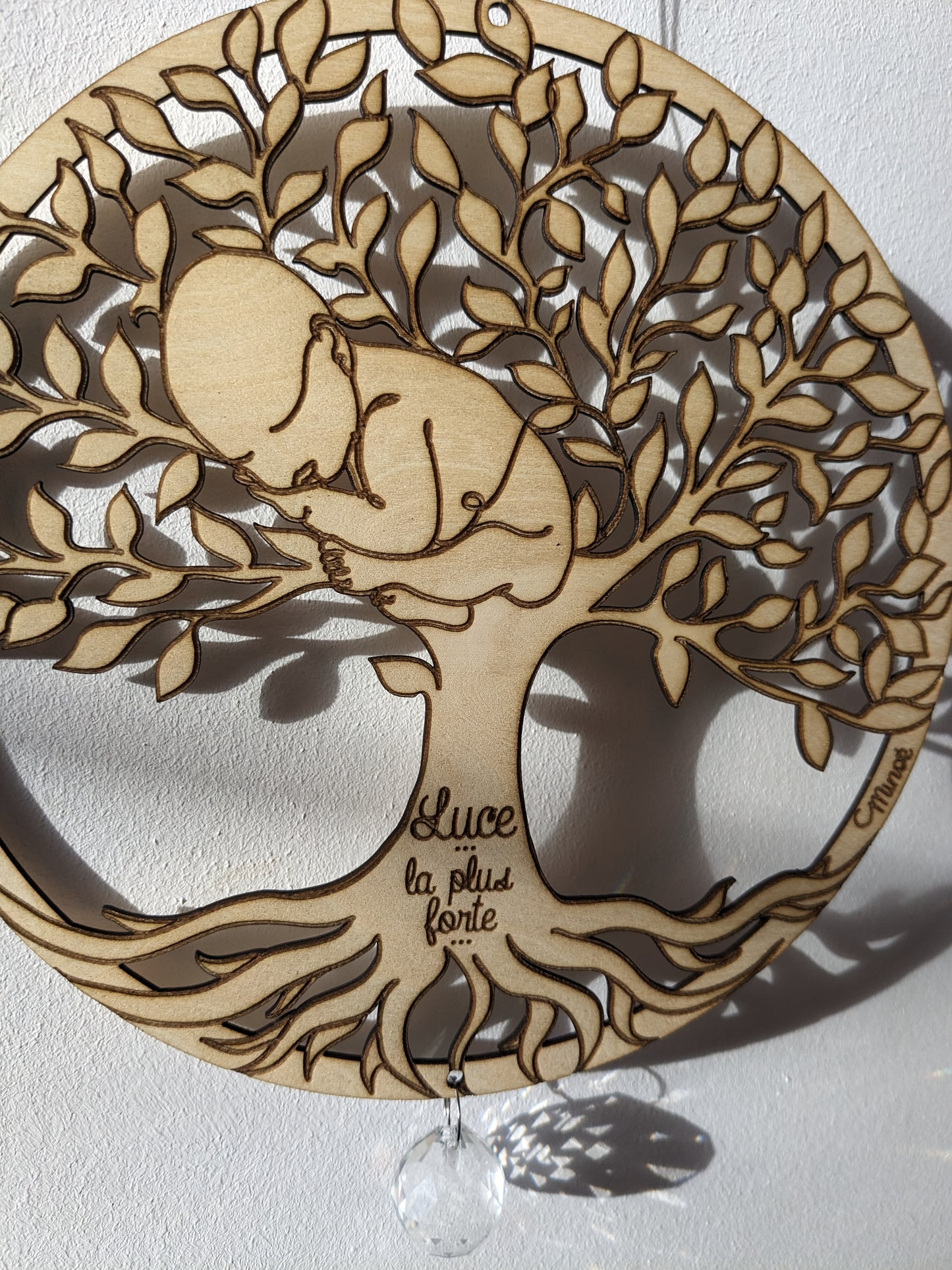 Attrape-soleil - arbre de vie.