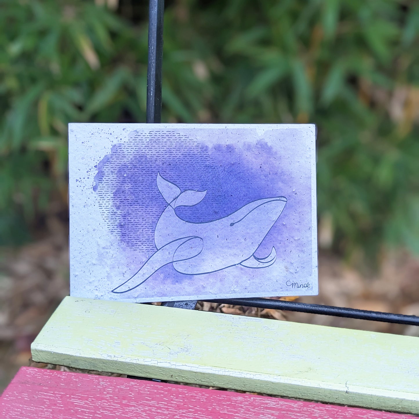 Carte à planter : jolie baleine