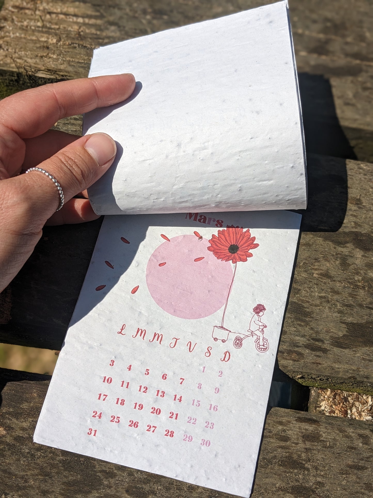 Calendrier scolaire à planter - sept 2024 / août 2025