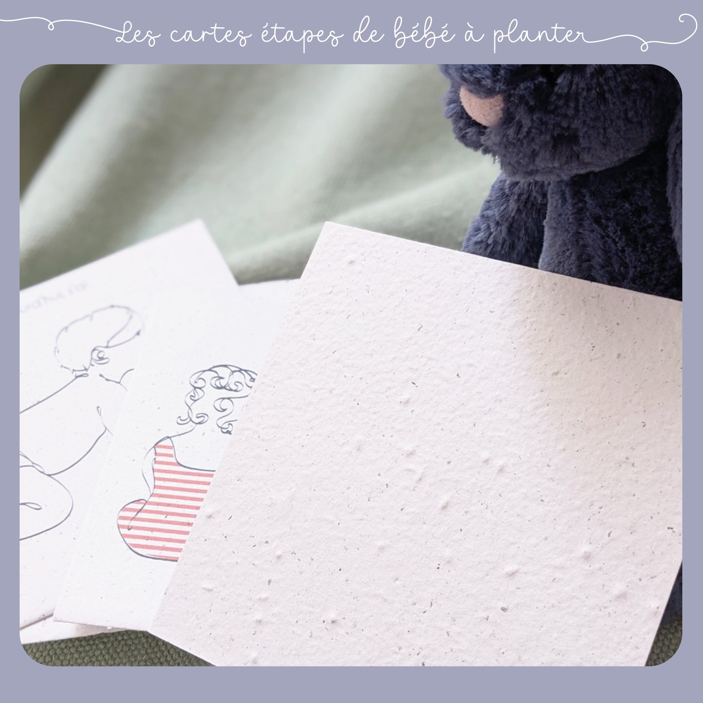 Les cartes étapes de bébé à planter : la première année