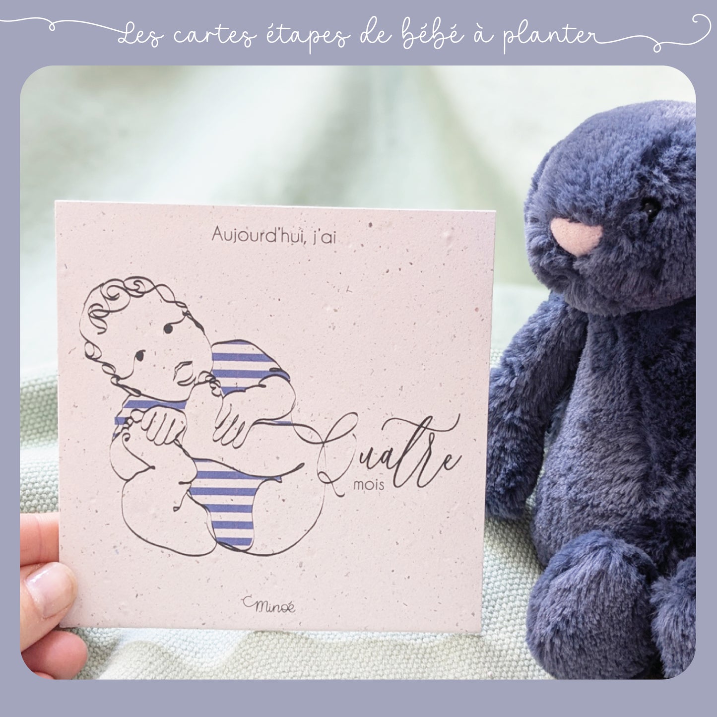 Les cartes étapes de bébé à planter : la première année
