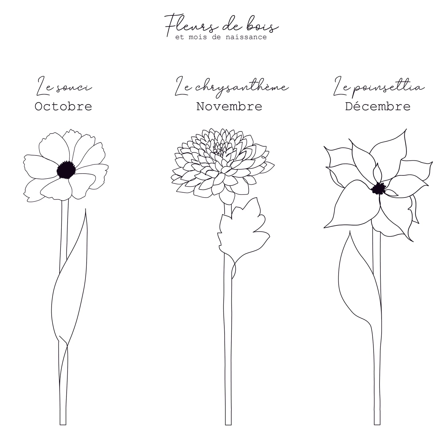 Fleurs de bois et support