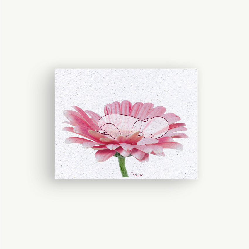 Carte à planter : Baby bloom