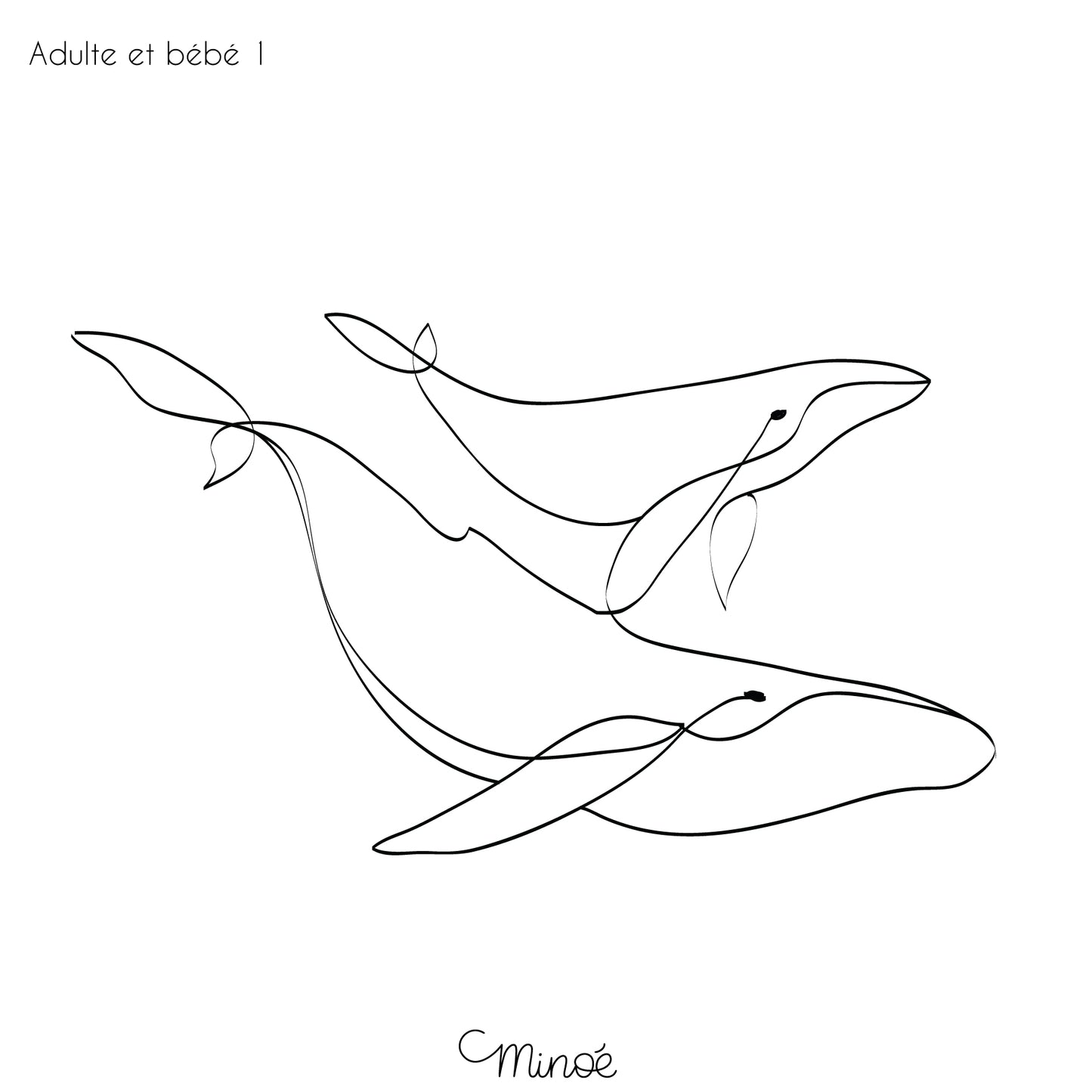 Portrait de famille baleines