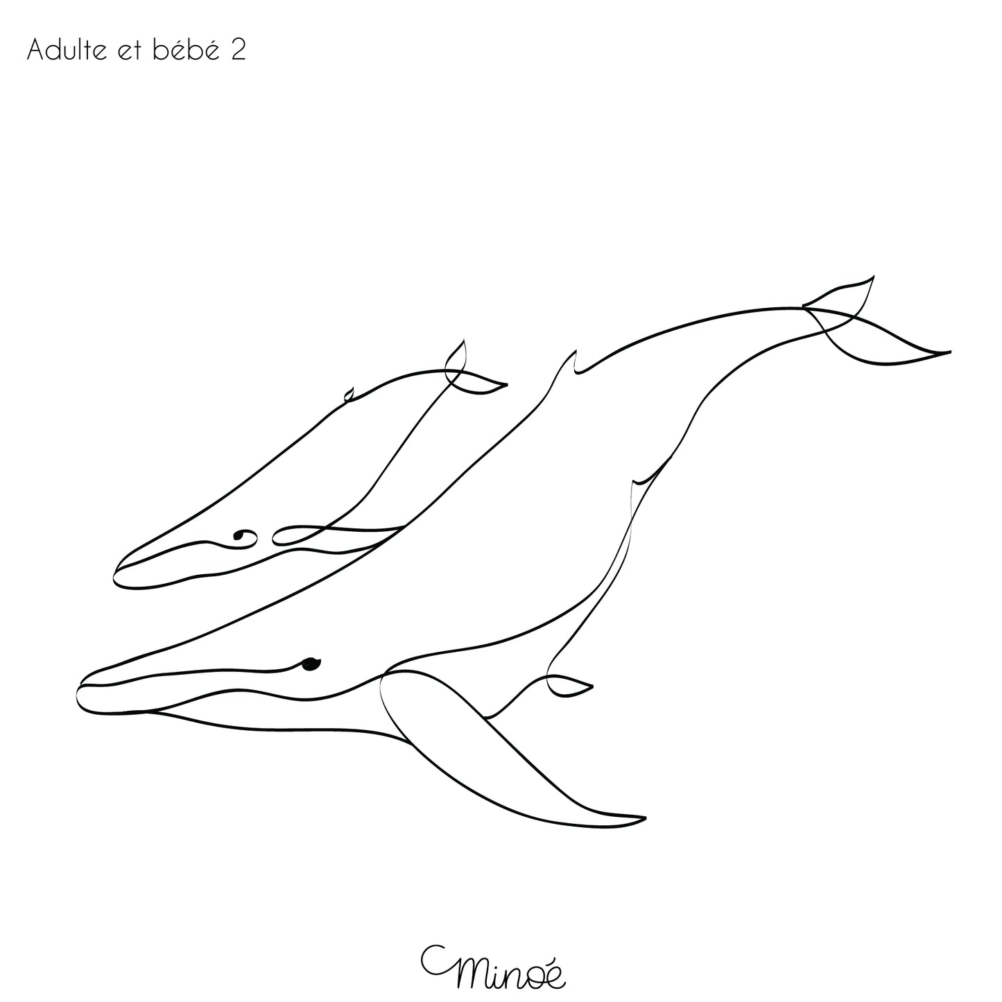 Portrait de famille baleines