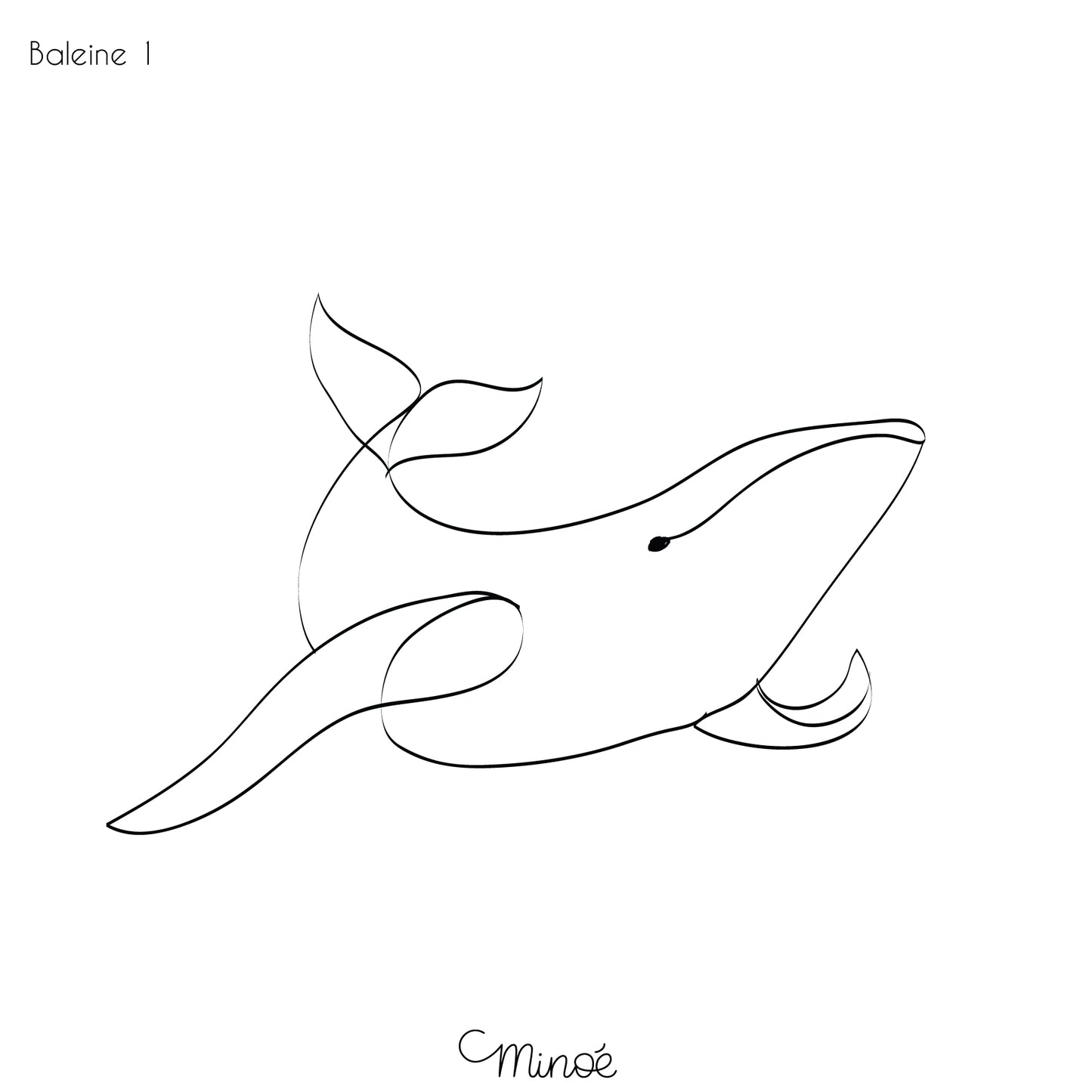 Portrait de famille baleines
