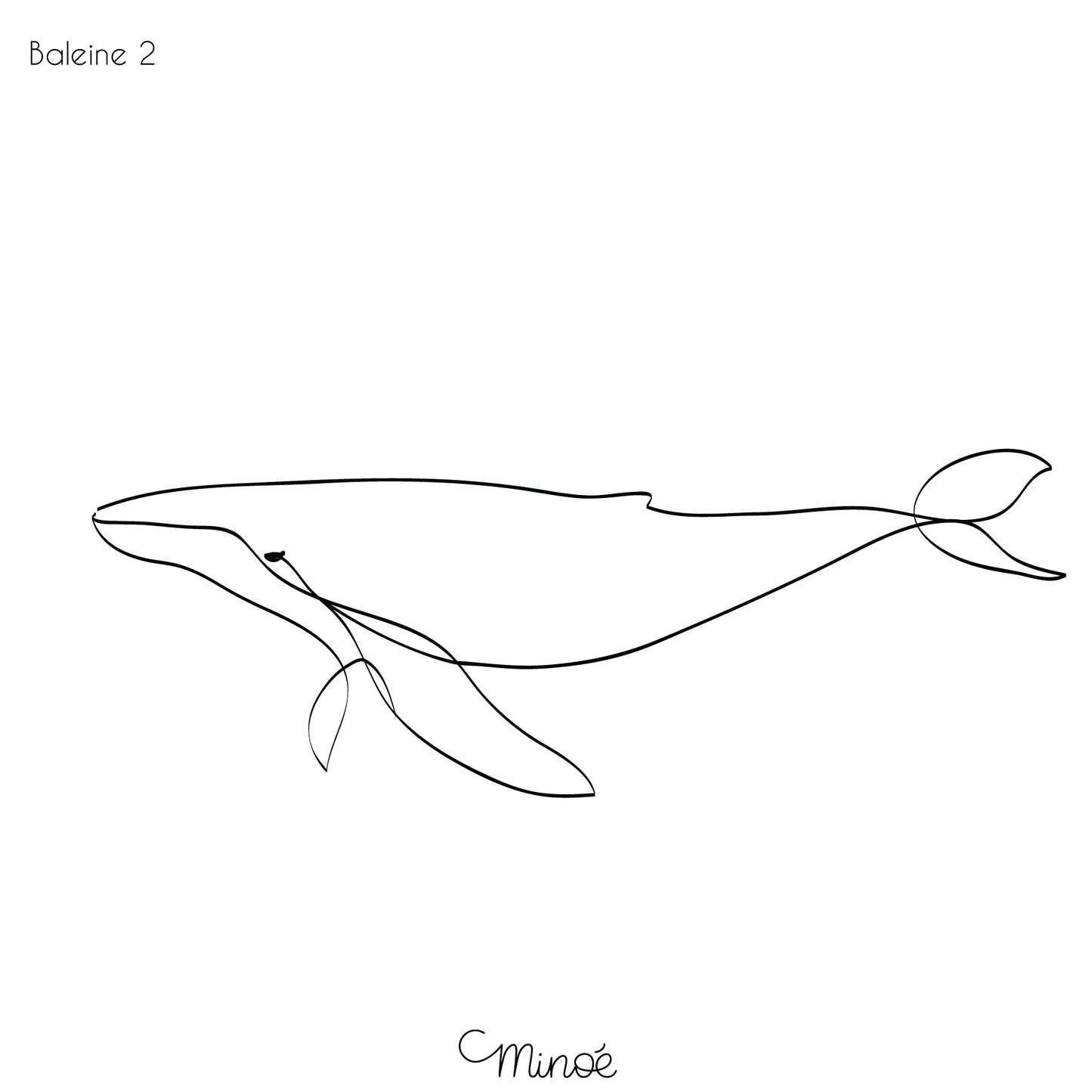 Portrait de famille baleines