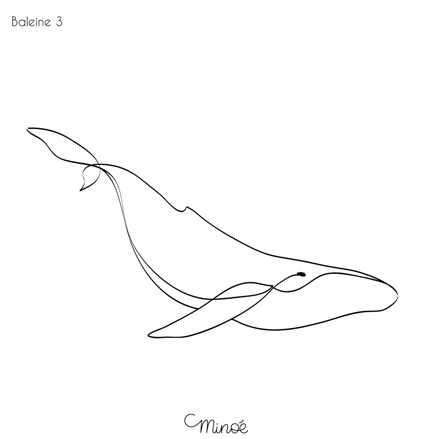 Portrait de famille baleines