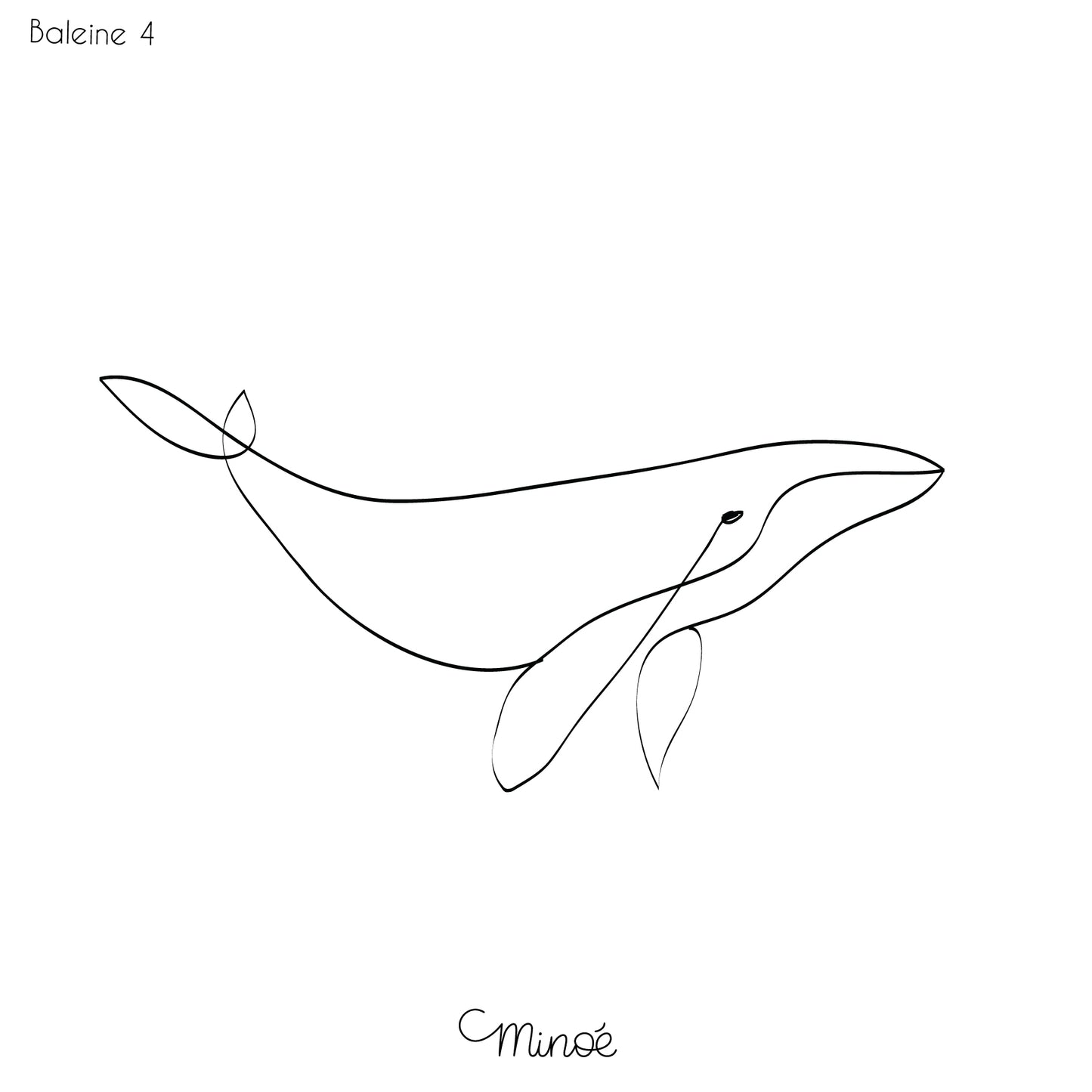 Portrait de famille baleines