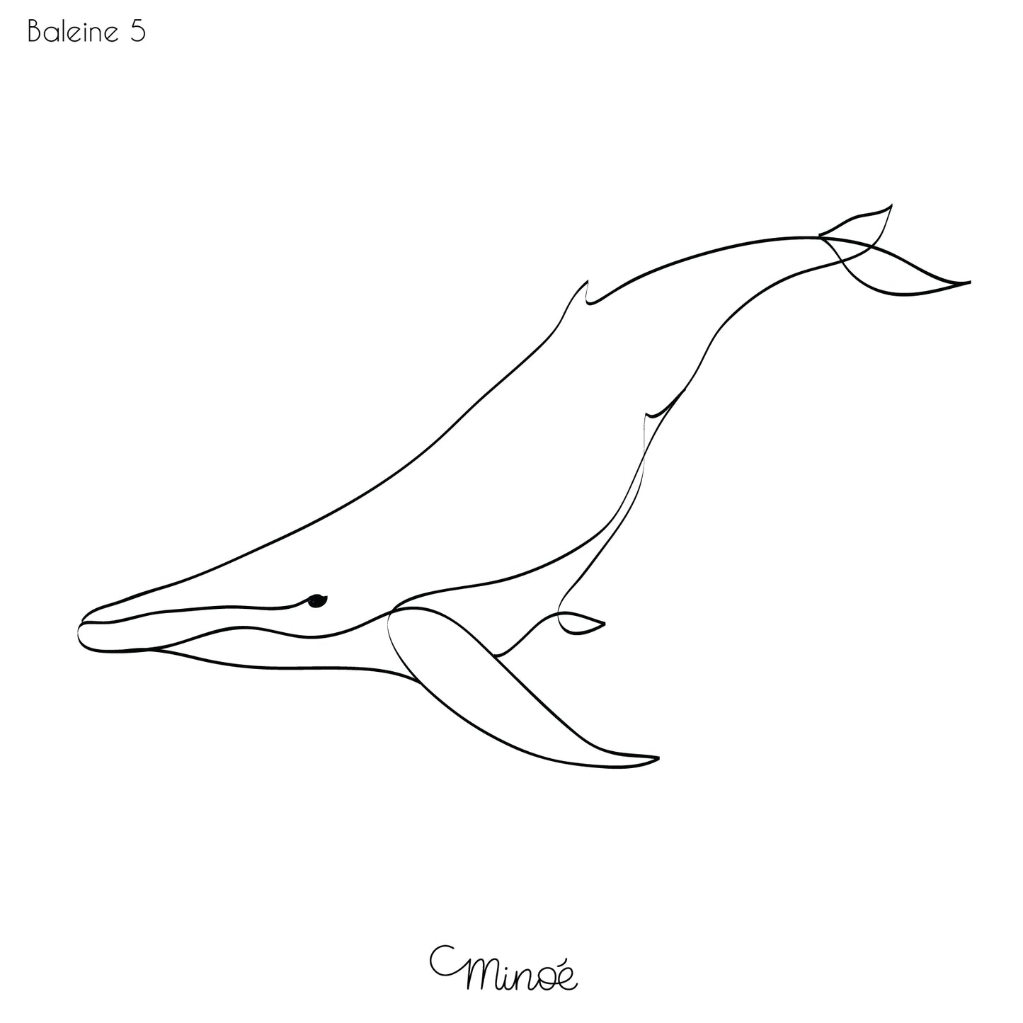 Portrait de famille baleines