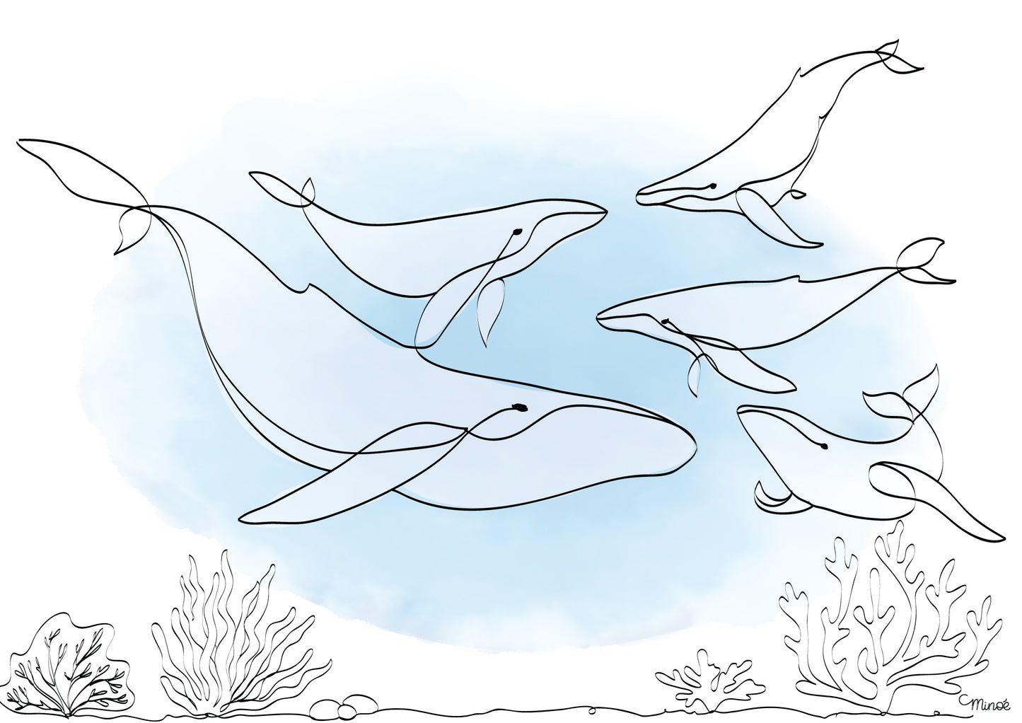 Portrait de famille baleines