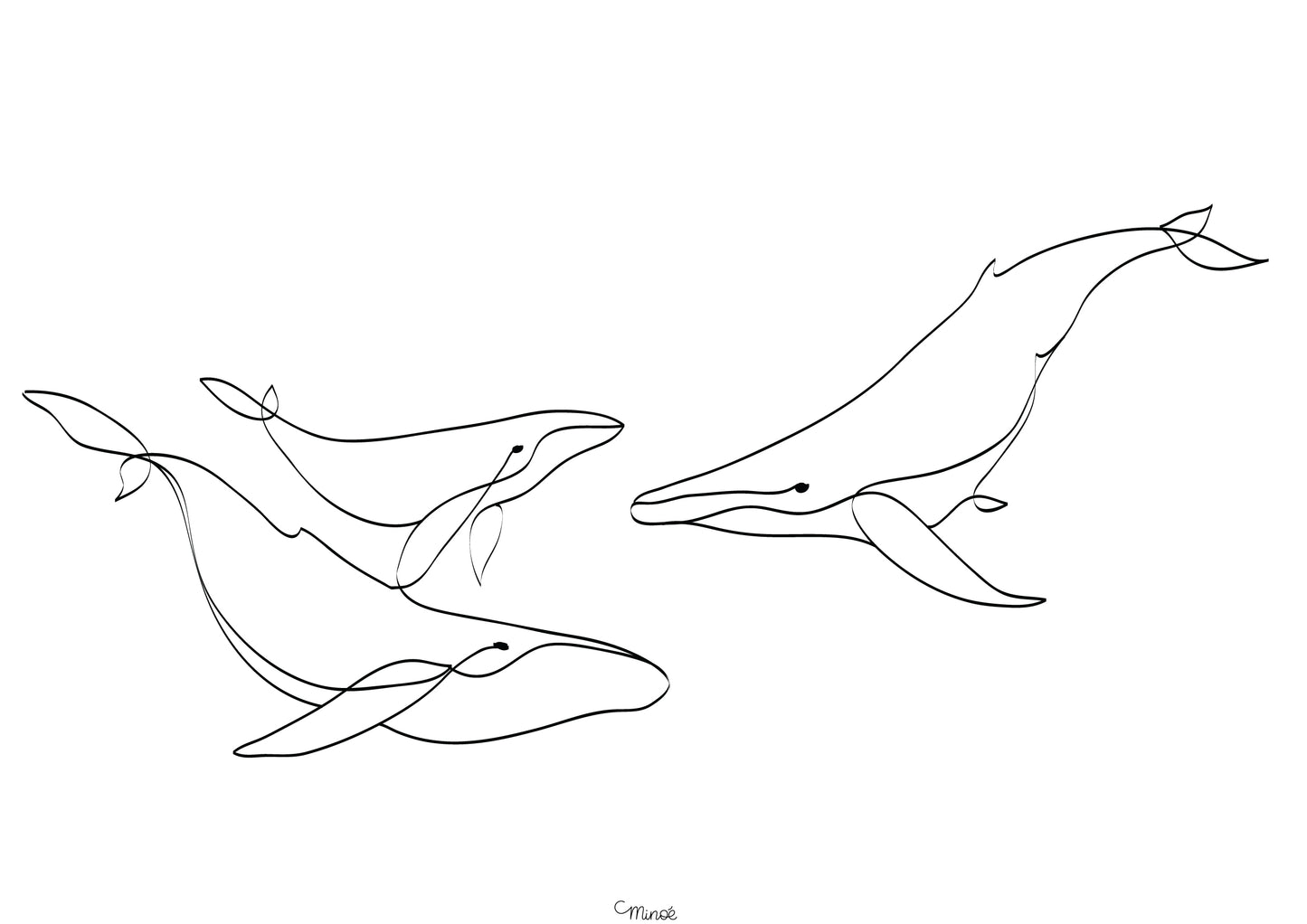 Portrait de famille baleines