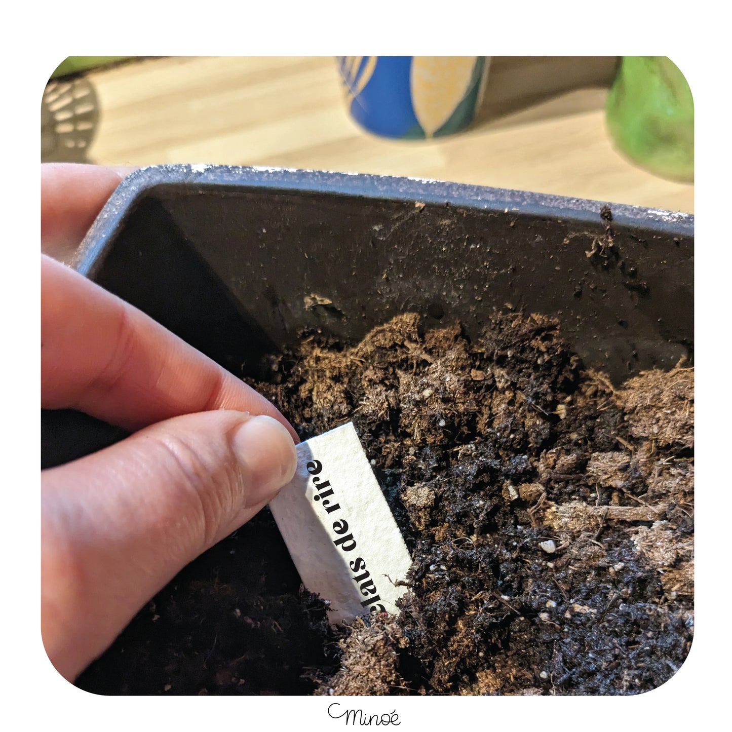 Carte à planter : On récolte ce que l'on s'aime