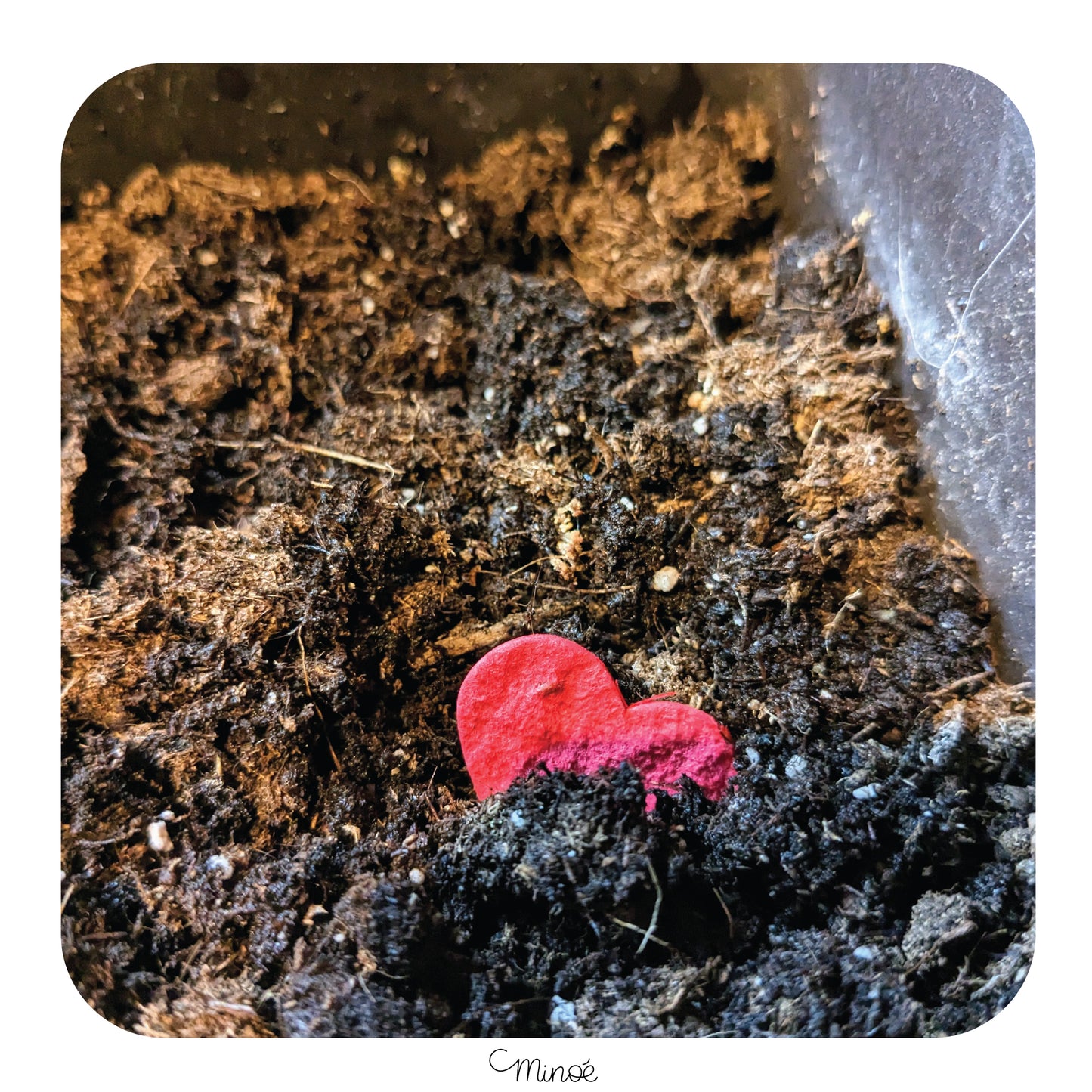 Carte à planter : On récolte ce que l'on s'aime