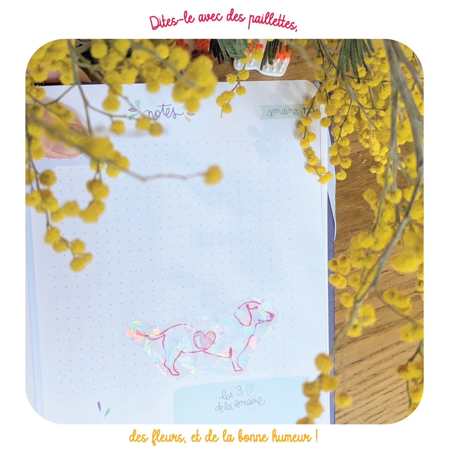 Lot de 5 stickers pailletés