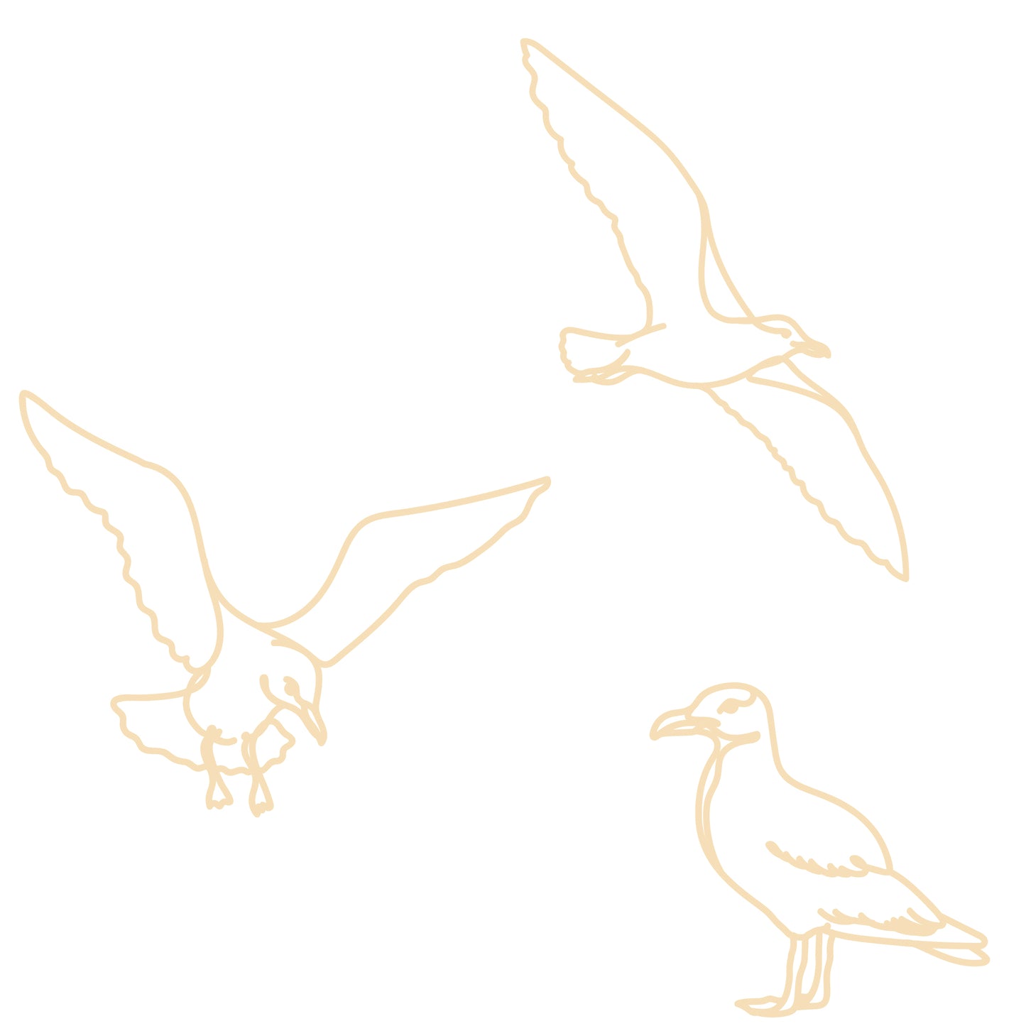 Trio de goélands en lignes de bois