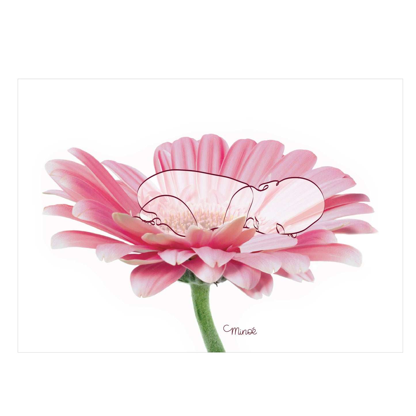 carte postale - Baby bloom