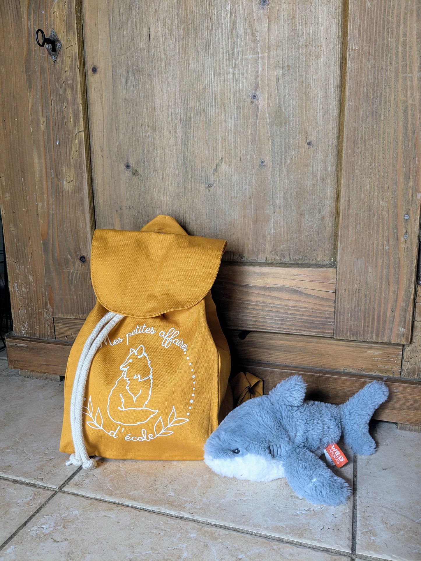 Joli sac illustré pour petits écoliers
