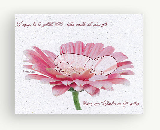 Faire part de naissance sur carte ensemencée ( lot de 10 )
