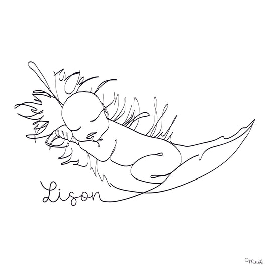 Faire-part de naissance - 2 pages - modèle 11 - printable